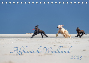 AFGHANISCHE WINDHUNDE 2023 (Tischkalender 2023 DIN A5 quer) von Mirsberger annettmirsberger.de,  Annett