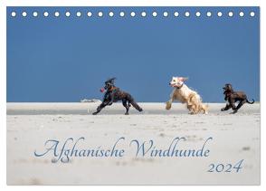 AFGHANISCHE WINDHUNDE 2024 (Tischkalender 2024 DIN A5 quer), CALVENDO Monatskalender von Mirsberger annettmirsberger.de,  Annett