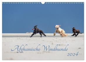 AFGHANISCHE WINDHUNDE 2024 (Wandkalender 2024 DIN A3 quer), CALVENDO Monatskalender von Mirsberger annettmirsberger.de,  Annett