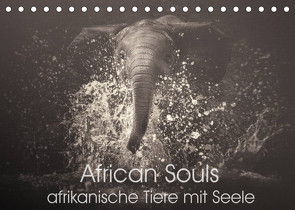 African Souls – afrikanische Tiere mit Seele (Tischkalender 2022 DIN A5 quer) von Kulpa,  Manuela