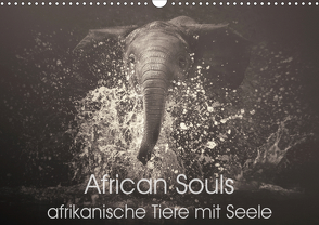 African Souls – afrikanische Tiere mit Seele (Wandkalender 2021 DIN A3 quer) von Kulpa,  Manuela