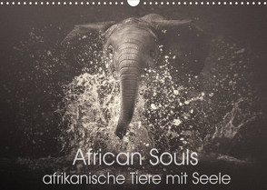 African Souls – afrikanische Tiere mit Seele (Wandkalender 2022 DIN A3 quer) von Kulpa,  Manuela