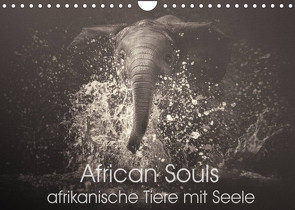 African Souls – afrikanische Tiere mit Seele (Wandkalender 2022 DIN A4 quer) von Kulpa,  Manuela