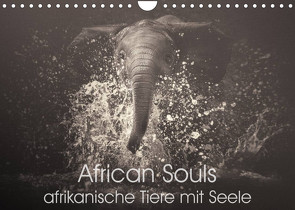 African Souls – afrikanische Tiere mit Seele (Wandkalender 2023 DIN A4 quer) von Kulpa,  Manuela