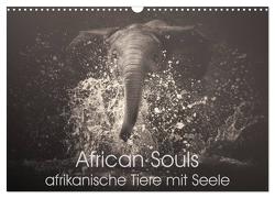 African Souls – afrikanische Tiere mit Seele (Wandkalender 2024 DIN A3 quer), CALVENDO Monatskalender von Kulpa,  Manuela