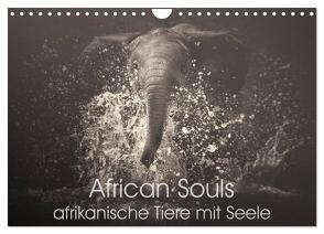 African Souls – afrikanische Tiere mit Seele (Wandkalender 2024 DIN A4 quer), CALVENDO Monatskalender von Kulpa,  Manuela