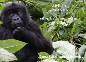 Afrika 1 Ruanda von Gitzinger-Albrecht,  Inez