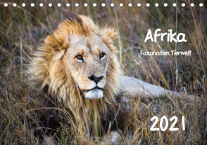 Afrika – Faszination Tierwelt (Tischkalender 2021 DIN A5 quer) von Bentlage,  Horst