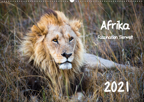 Afrika – Faszination Tierwelt (Wandkalender 2021 DIN A2 quer) von Bentlage,  Horst