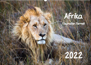 Afrika – Faszination Tierwelt (Wandkalender 2022 DIN A2 quer) von Bentlage,  Horst