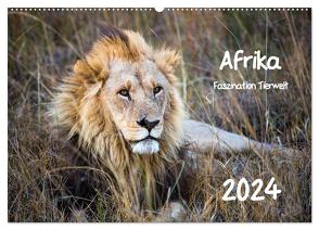 Afrika – Faszination Tierwelt (Wandkalender 2024 DIN A2 quer), CALVENDO Monatskalender von Bentlage,  Horst