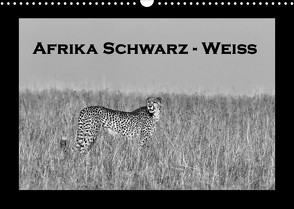 Afrika Schwarz – Weiss (Wandkalender 2022 DIN A3 quer) von Stern,  Angelika