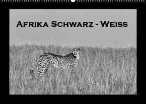 Afrika Schwarz – Weiss (Wandkalender 2023 DIN A2 quer) von Stern,  Angelika
