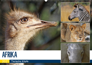 AFRIKA – Tierische Köpfe (Wandkalender 2021 DIN A2 quer) von Woyke,  Wibke