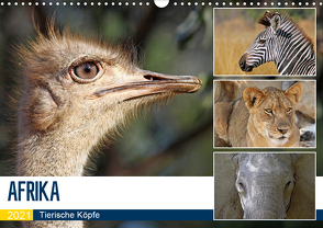 AFRIKA – Tierische Köpfe (Wandkalender 2021 DIN A3 quer) von Woyke,  Wibke