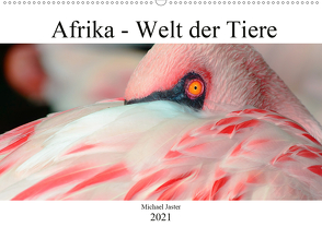 Afrika – Welt der Tiere (Wandkalender 2021 DIN A2 quer) von Jaster,  Michael