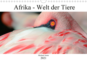 Afrika – Welt der Tiere (Wandkalender 2021 DIN A4 quer) von Jaster,  Michael