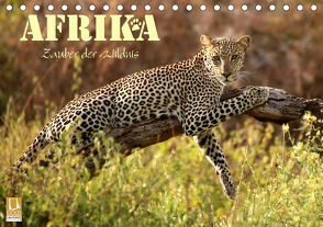 Afrika – Zauber der Wildnis (Tischkalender 2021 DIN A5 quer) von Stamm,  Dirk