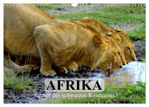 Afrika. Zauber des schwarzen Kontinents (Wandkalender 2024 DIN A3 quer), CALVENDO Monatskalender von Stanzer,  Elisabeth