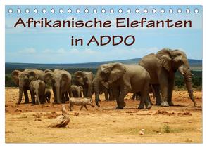 Afrikanische Elefanten in ADDO (Tischkalender 2024 DIN A5 quer), CALVENDO Monatskalender von van Wyk,  Anke