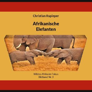 Afrikanische Elefanten von Rupieper,  Christian