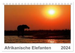 Afrikanische Elefanten (Tischkalender 2024 DIN A5 quer), CALVENDO Monatskalender von Wolf,  Gerald