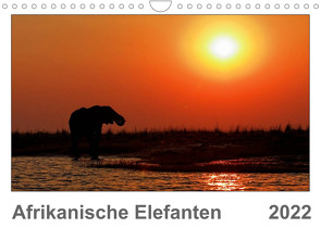 Afrikanische Elefanten (Wandkalender 2022 DIN A4 quer) von Wolf,  Gerald