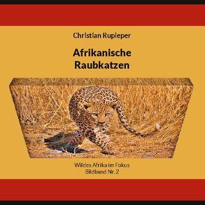 Afrikanische Raubkatzen von Rupieper,  Christian