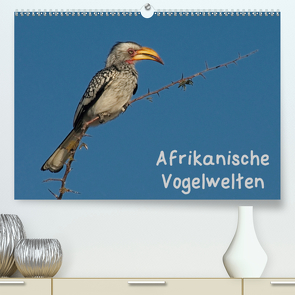 Afrikanische Vogelwelten (Premium, hochwertiger DIN A2 Wandkalender 2020, Kunstdruck in Hochglanz) von Wolf,  Gerald