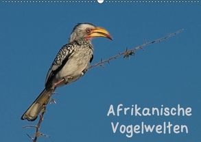 Afrikanische Vogelwelten (Wandkalender 2018 DIN A2 quer) von Wolf,  Gerald