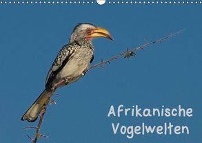 Afrikanische Vogelwelten (Wandkalender 2018 DIN A3 quer) von Wolf,  Gerald