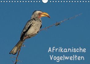 Afrikanische Vogelwelten (Wandkalender 2018 DIN A4 quer) von Wolf,  Gerald