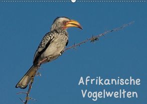 Afrikanische Vogelwelten (Wandkalender 2019 DIN A2 quer) von Wolf,  Gerald