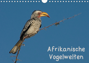 Afrikanische Vogelwelten (Wandkalender 2020 DIN A4 quer) von Wolf,  Gerald