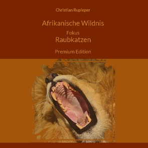 Afrikanische Wildnis Fokus Raubkatzen von Rupieper,  Christian