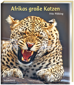 Afrikas große Katzen von Pölking,  Fritz