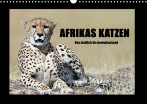 Afrikas Katzen (Wandkalender 2023 DIN A3 quer) von Stern,  Angelika