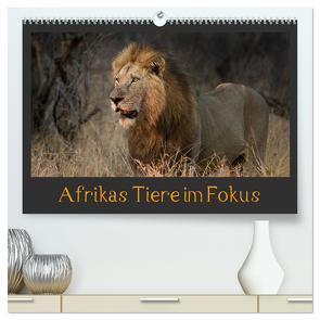 Afrikas Tiere im Fokus (hochwertiger Premium Wandkalender 2024 DIN A2 quer), Kunstdruck in Hochglanz von Schörkhuber,  Johann