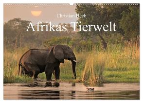 Afrikas Tierwelt Christian Heeb (Wandkalender 2024 DIN A2 quer), CALVENDO Monatskalender von Heeb,  Christian
