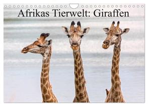 Afrikas Tierwelt: Giraffen (Wandkalender 2024 DIN A4 quer), CALVENDO Monatskalender von Voss,  Michael