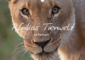 Afrikas Tierwelt im Portrait (Wandkalender 2018 DIN A3 quer) von Plunze,  Alexander