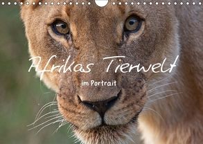 Afrikas Tierwelt im Portrait (Wandkalender 2018 DIN A4 quer) von Plunze,  Alexander