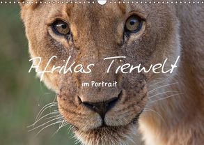 Afrikas Tierwelt im Portrait (Wandkalender 2019 DIN A3 quer) von Plunze,  Alexander