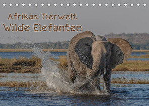 Afrikas Tierwelt – Wilde Elefanten (Tischkalender 2022 DIN A5 quer) von Voss,  Michael