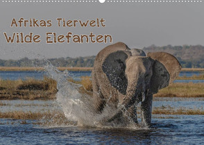 Afrikas Tierwelt – Wilde Elefanten (Wandkalender 2022 DIN A2 quer) von Voss,  Michael