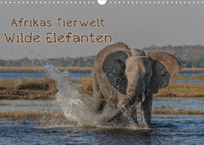 Afrikas Tierwelt – Wilde Elefanten (Wandkalender 2022 DIN A3 quer) von Voss,  Michael