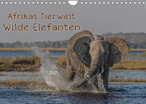 Afrikas Tierwelt – Wilde Elefanten (Wandkalender 2022 DIN A4 quer) von Voss,  Michael