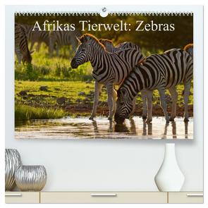 Afrikas Tierwelt: Zebras (hochwertiger Premium Wandkalender 2024 DIN A2 quer), Kunstdruck in Hochglanz von Voss,  Michael