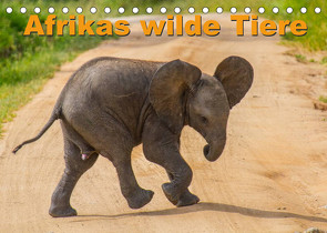 Afrikas wilde Tiere (Tischkalender 2022 DIN A5 quer) von Struckmann /FSTWildlife,  Frank