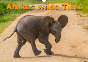 Afrikas wilde Tiere (Wandkalender 2022 DIN A3 quer) von Struckmann /FSTWildlife,  Frank